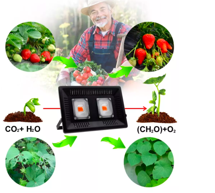 Led para Cultivo (100w) Lámpara de Cultivo Interior